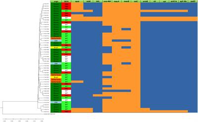 Molecular characterization of Arcobacter butzleri isolates from poultry in rural Ghana